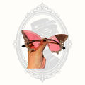 Rhinestone Butterfly Cat Eye UV400 Fashion Sunglasses Multiple Lens Colors
