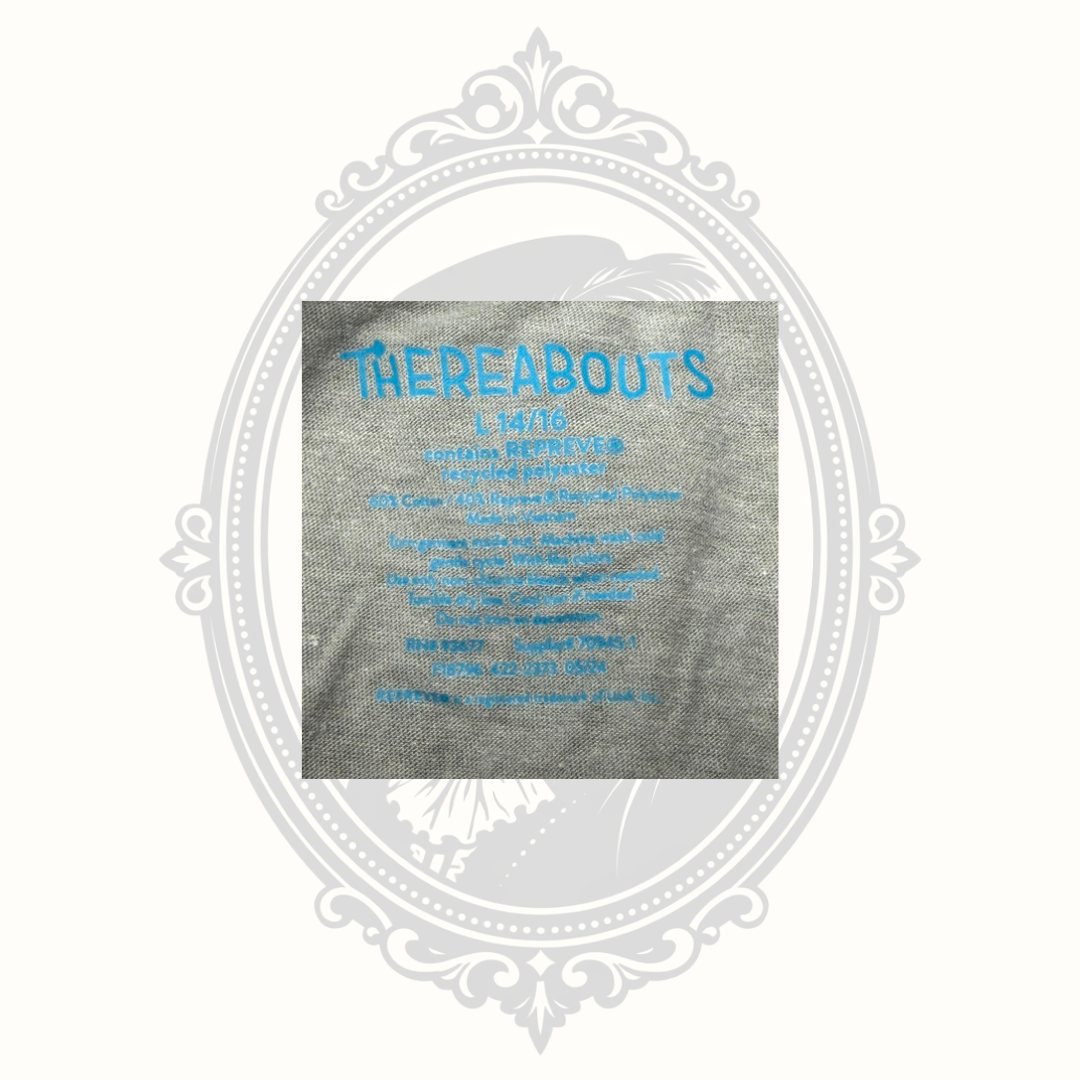 Thereabouts Boys Triceratops Graphic Long Sleeve Shirt Size L 14/16 REPREVE Recycled Fabric