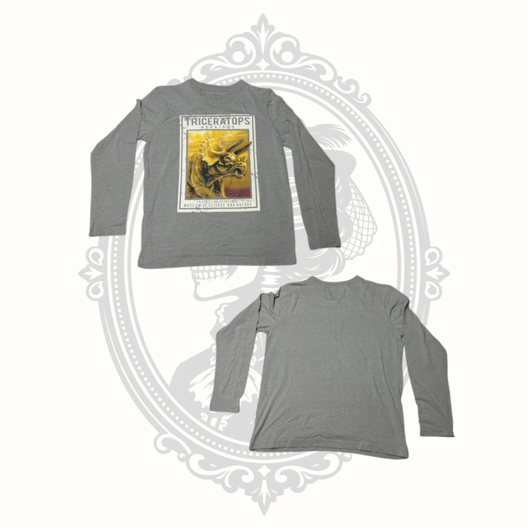 Thereabouts Boys Triceratops Graphic Long Sleeve Shirt Size L 14/16 REPREVE Recycled Fabric