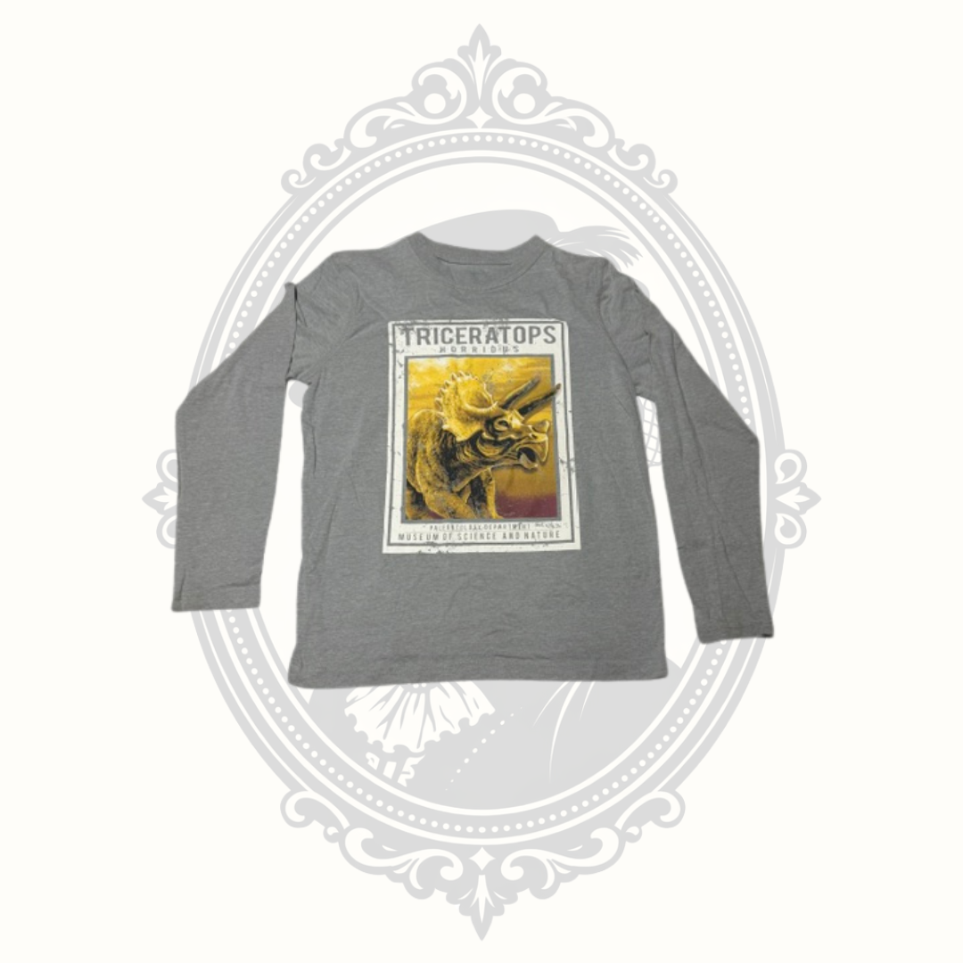 Thereabouts Boys Triceratops Graphic Long Sleeve Shirt Size L 14/16 REPREVE Recycled Fabric