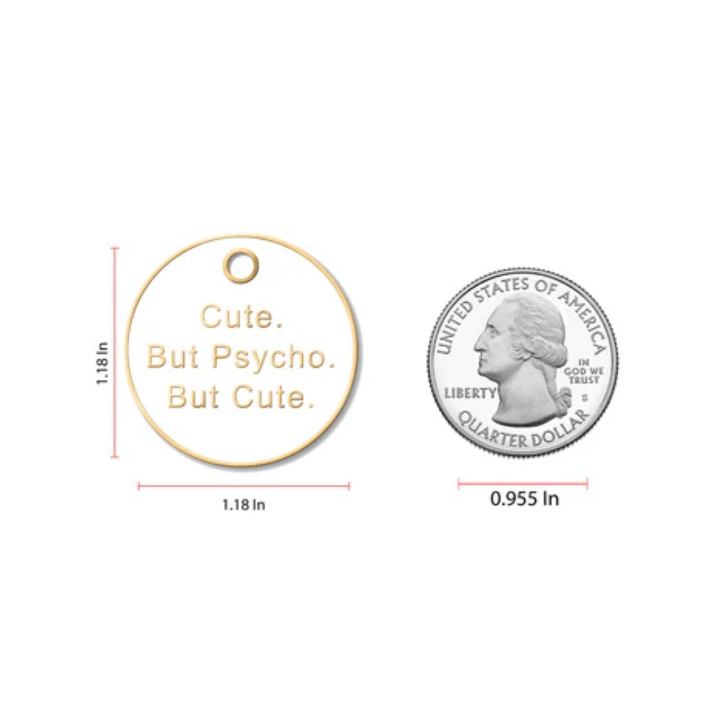 Size comparison of Trill Paws novelty pet tag beside a United States quarter for scale reference.