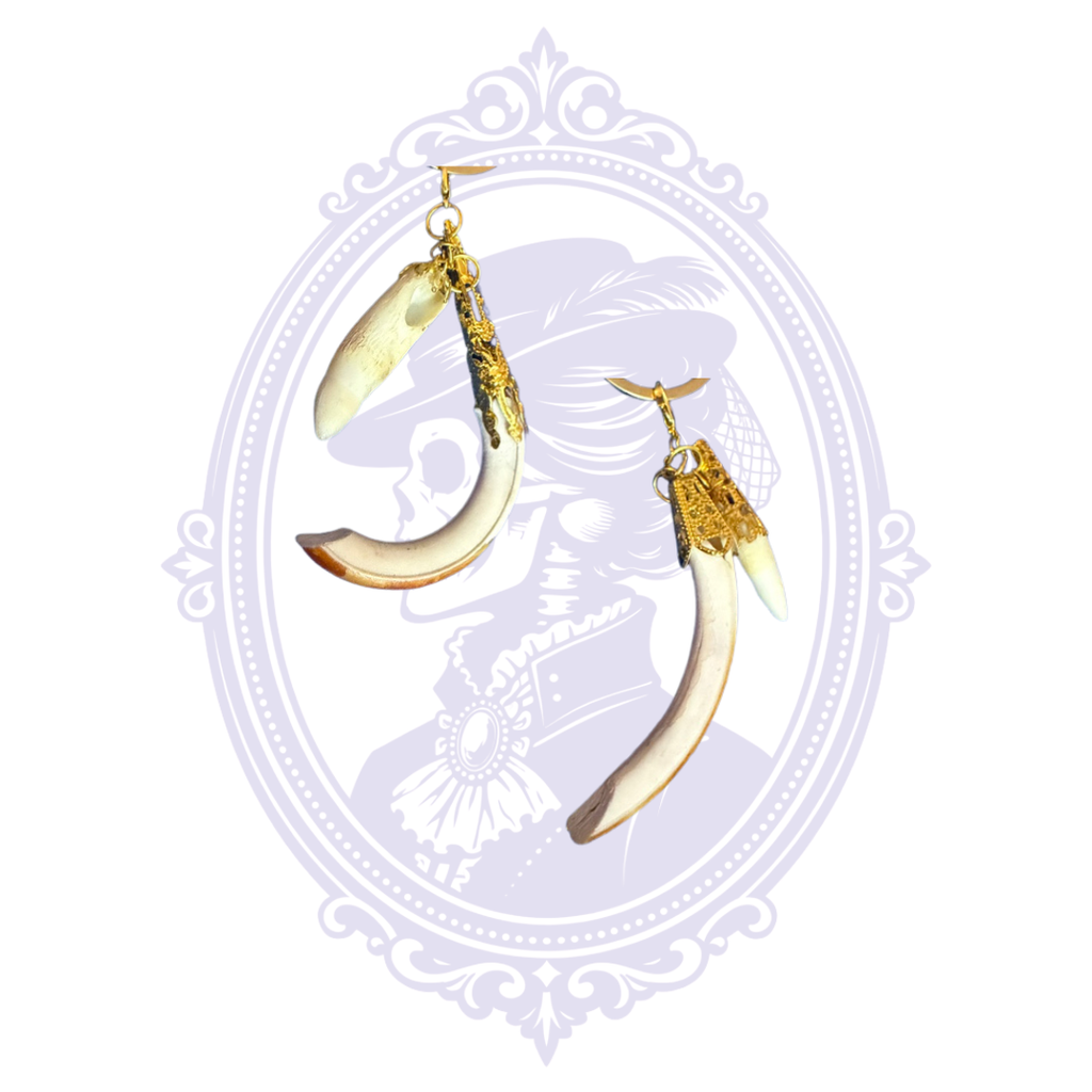 Louisiana Natural Curiosity Keychains – Alligator Tooth, Foot, Nutria Tooth & Charms
